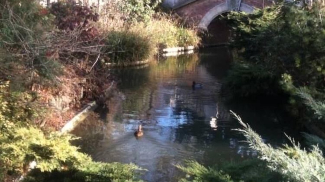 Photo of Outdoor in 8th Arrondissement