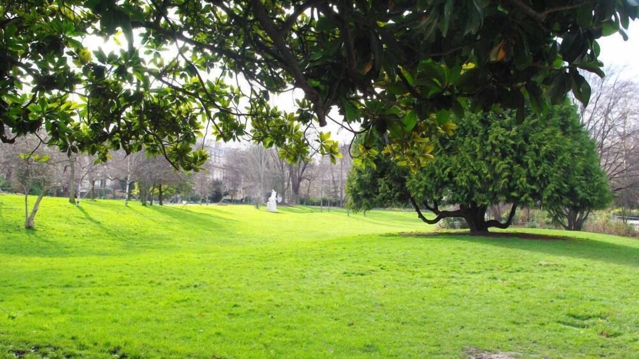 Photo of Outdoor in 8th Arrondissement