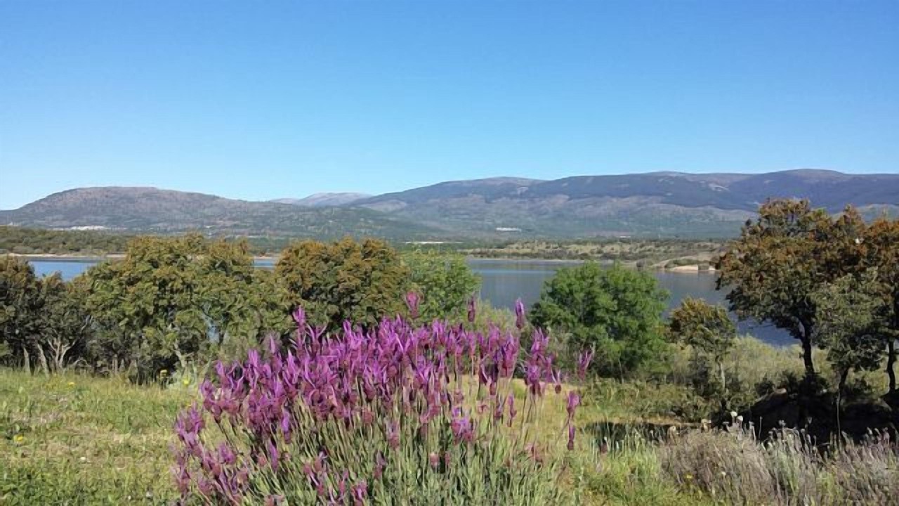Photo of Outdoor in Pinilla de Buitrago