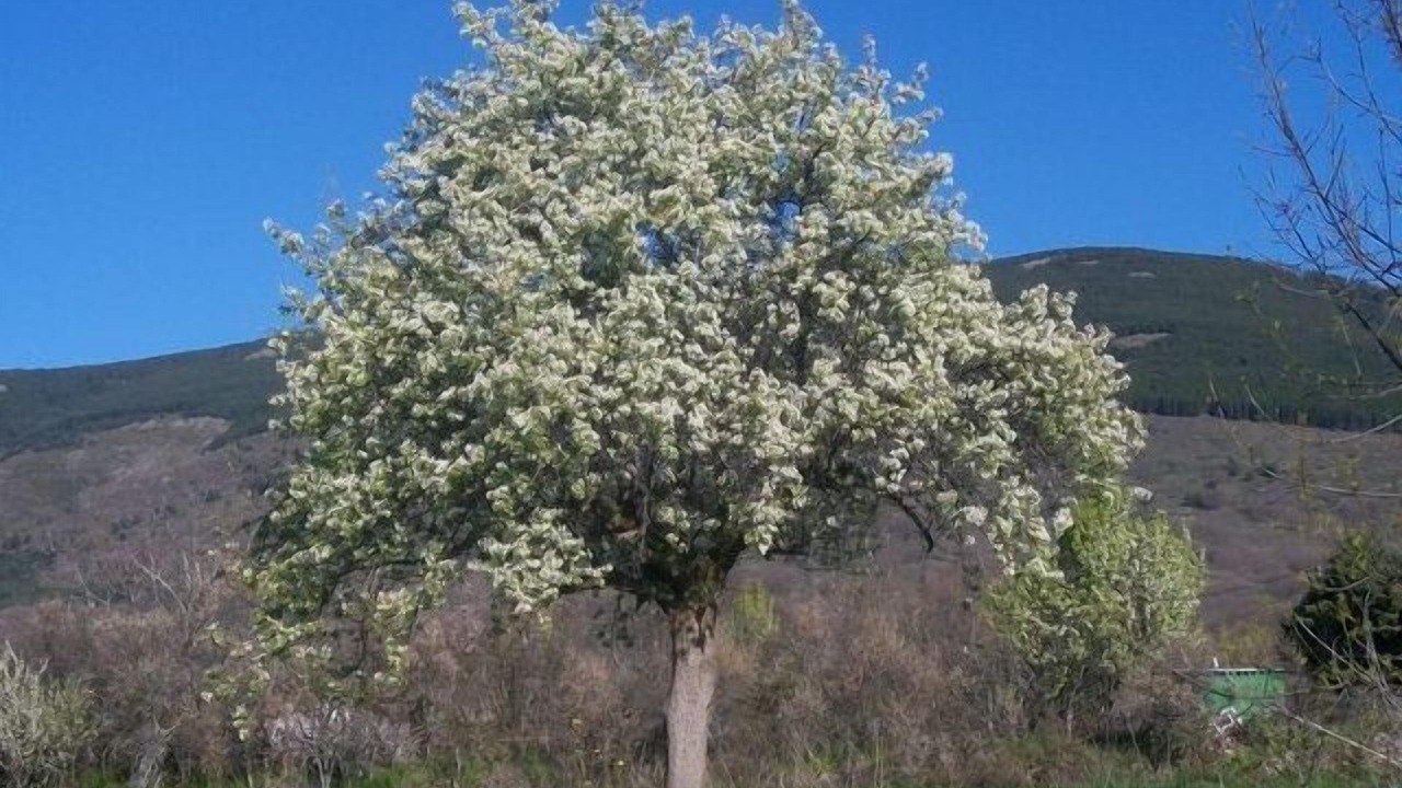 Photo of Outdoor in Pinilla de Buitrago