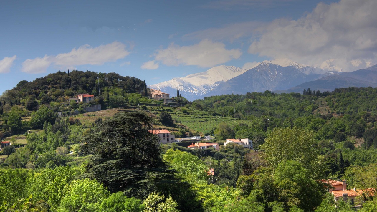 Photo of Outdoor in Ceret