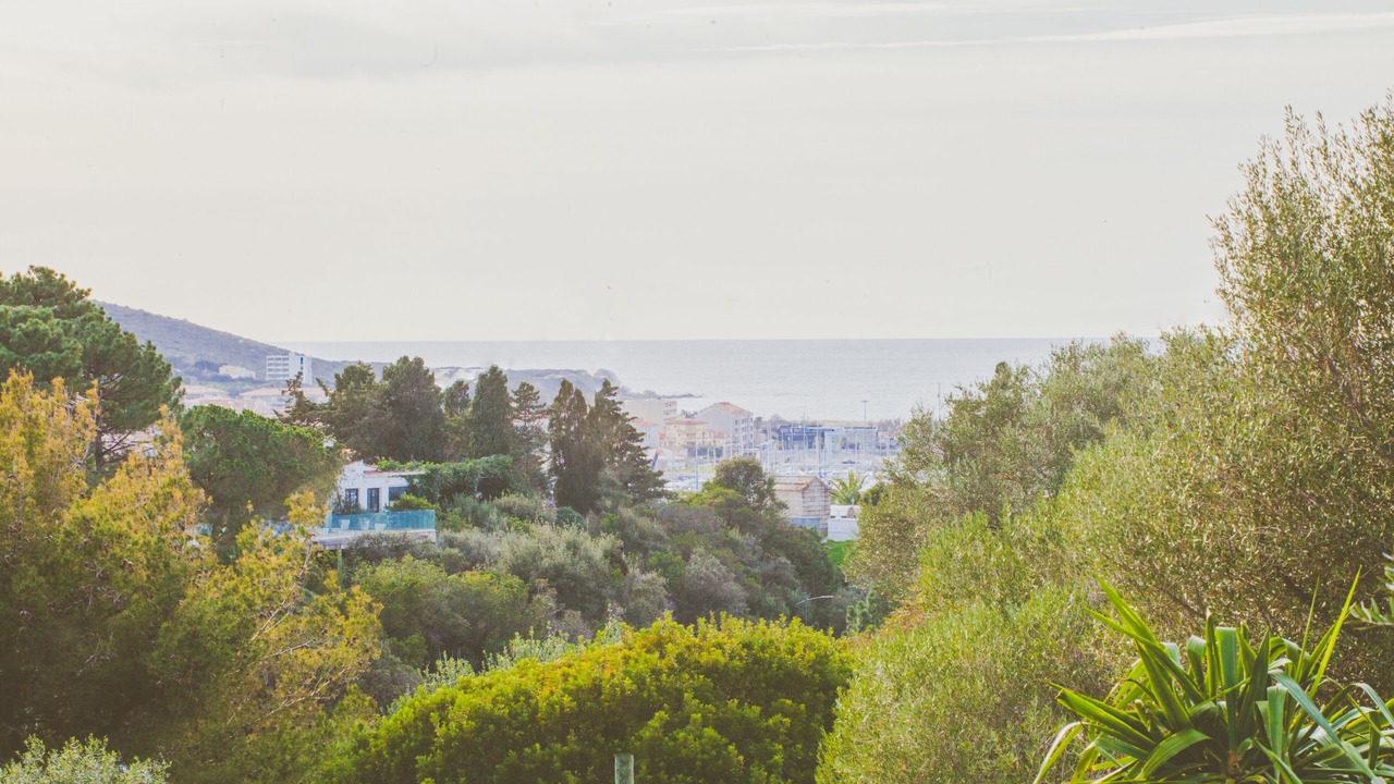 Photo of Others in Propriano