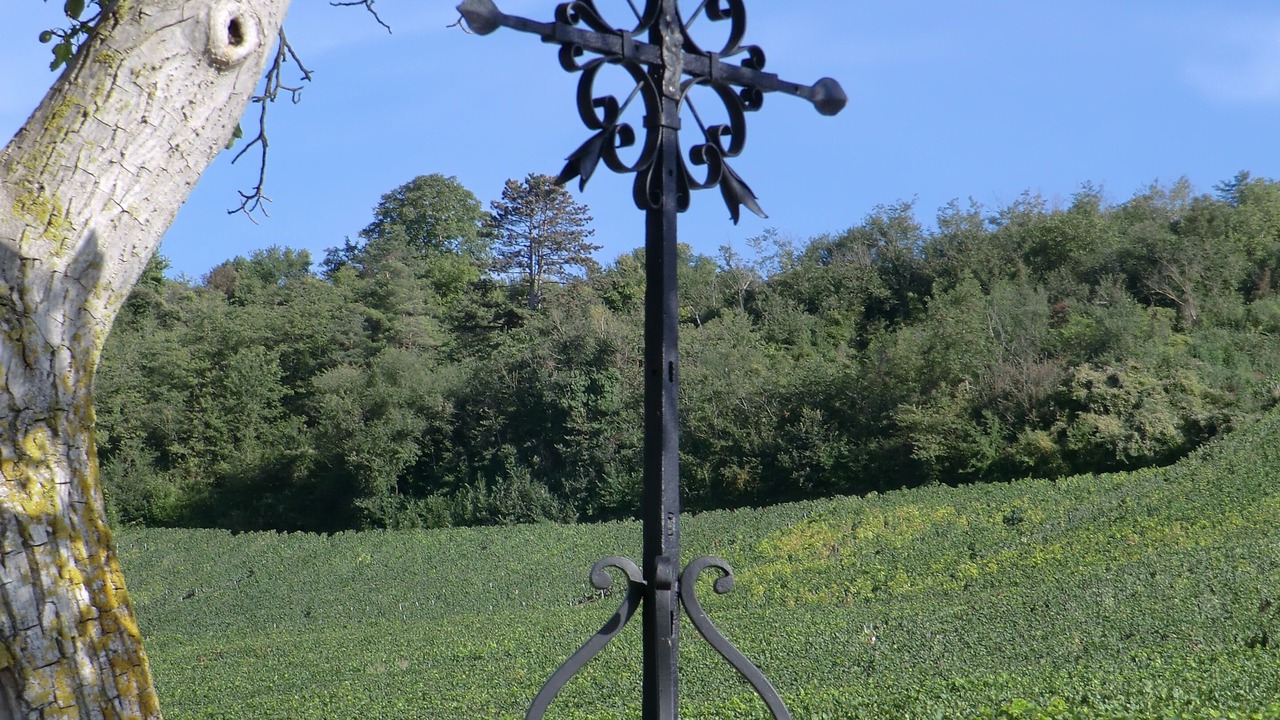 Photo of Others in Trigny