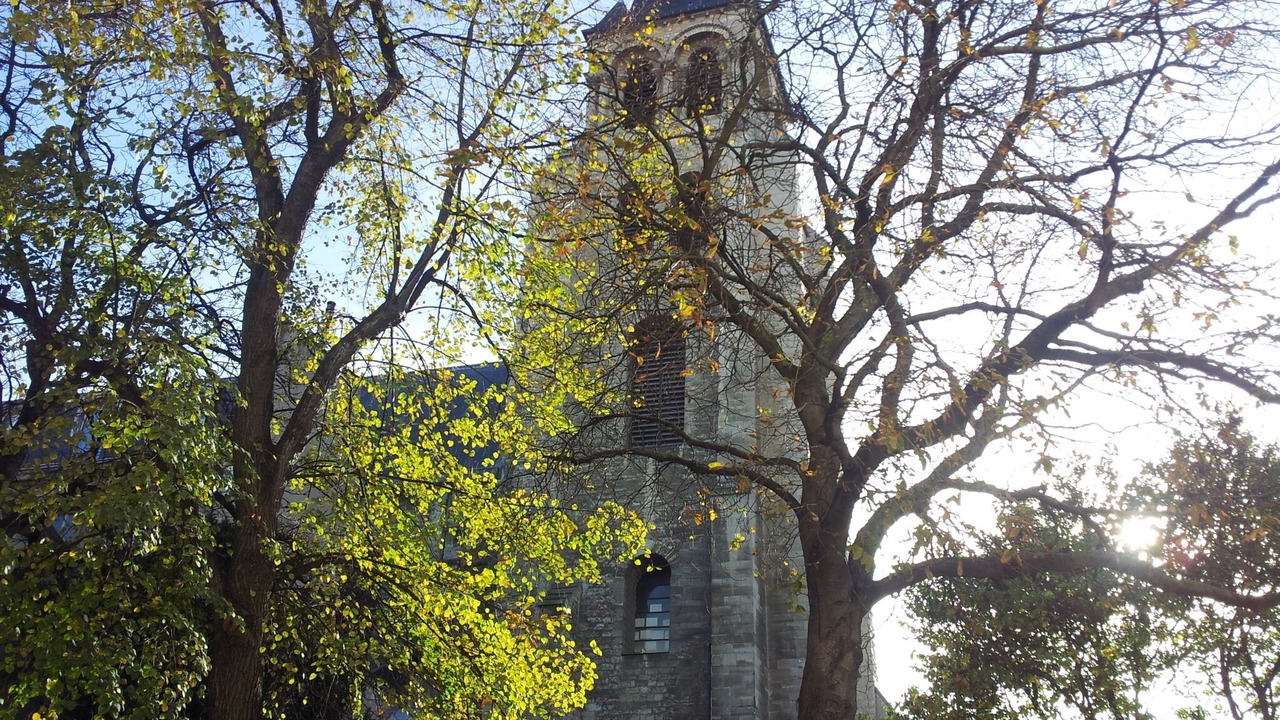 Photo of Others in Saint-Germain-des-Pres