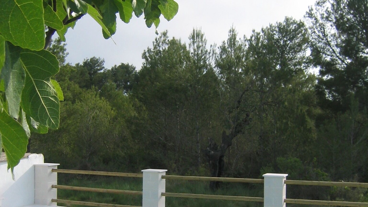Photo of Outdoor in Vilamarxant