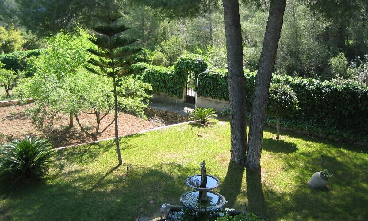 Photo of Outdoor in Vilamarxant