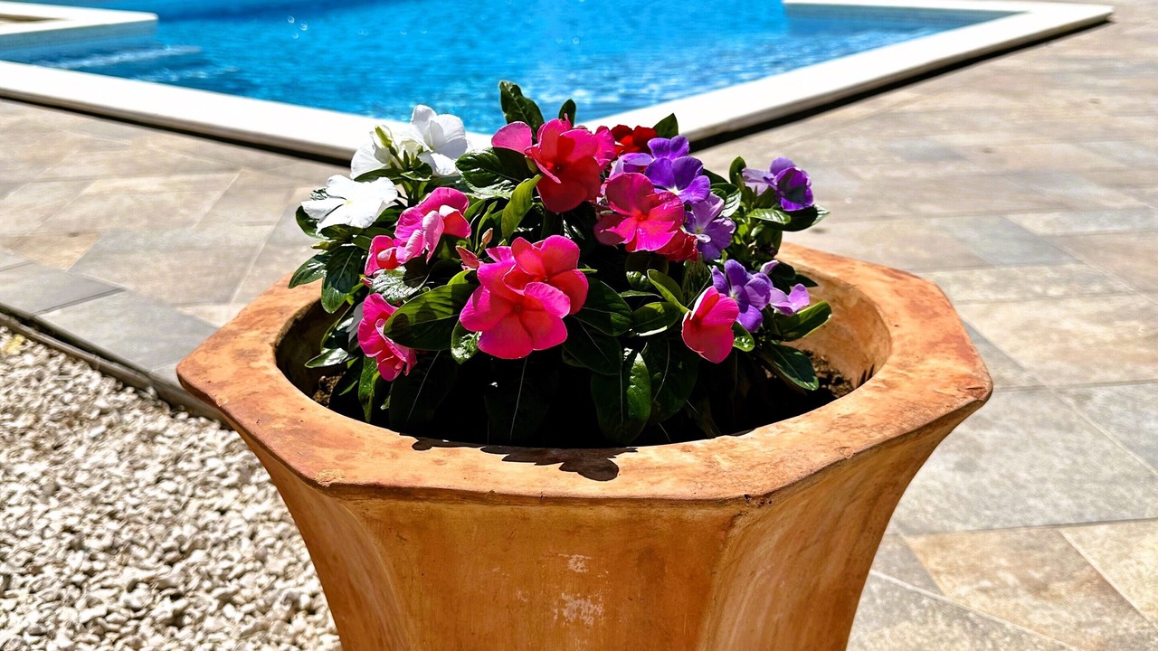 Photo of Outdoor in Primosten Burnji