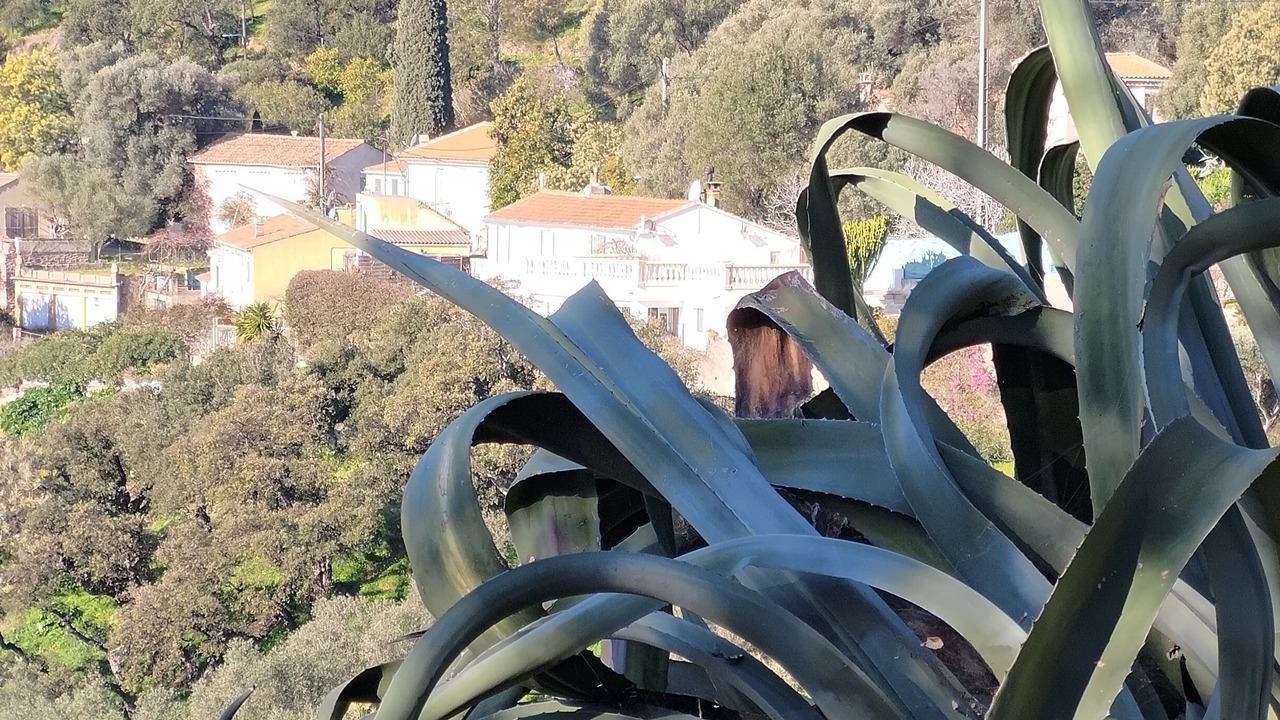 Photo of Outdoor in Cavaliere