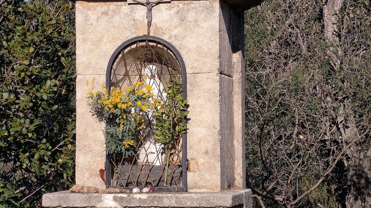 Photo of Outdoor in Cavaliere