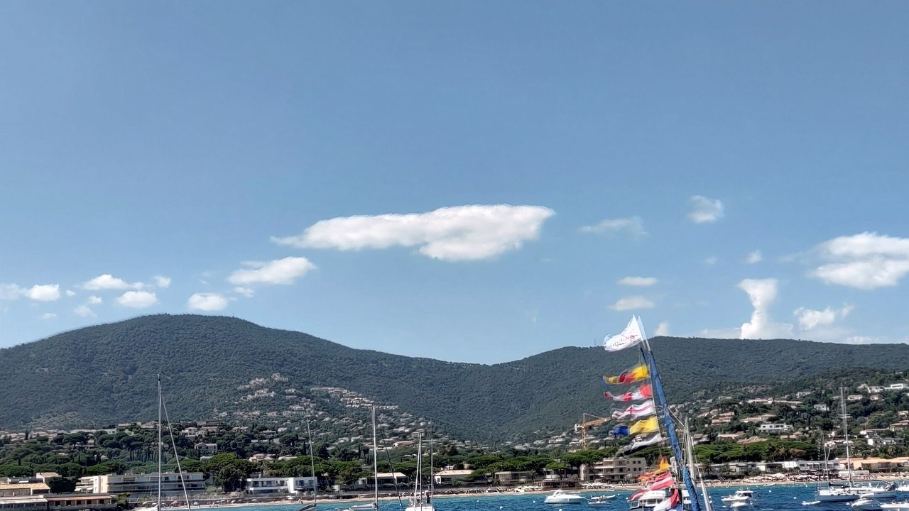 Photo of Others in Cavaliere