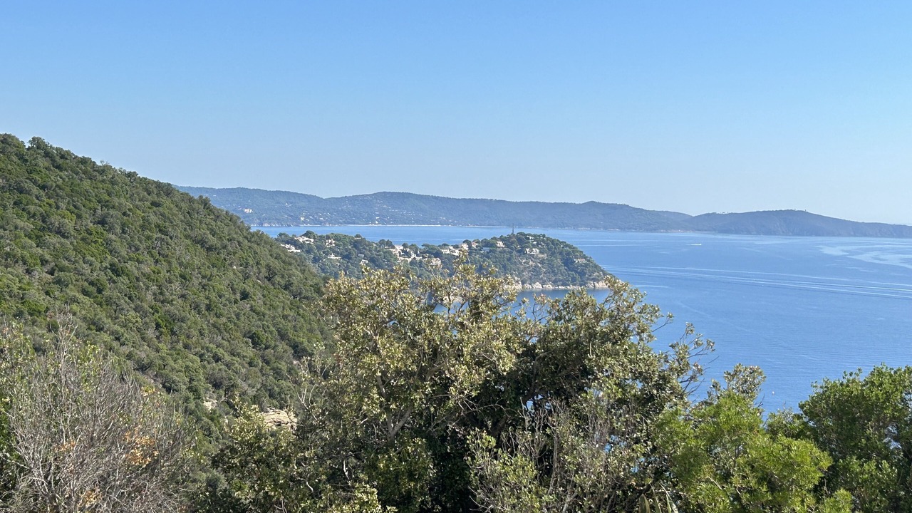 Photo of Others in Cavaliere
