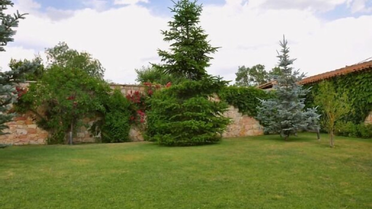 Photo of Outdoor in Canicosa