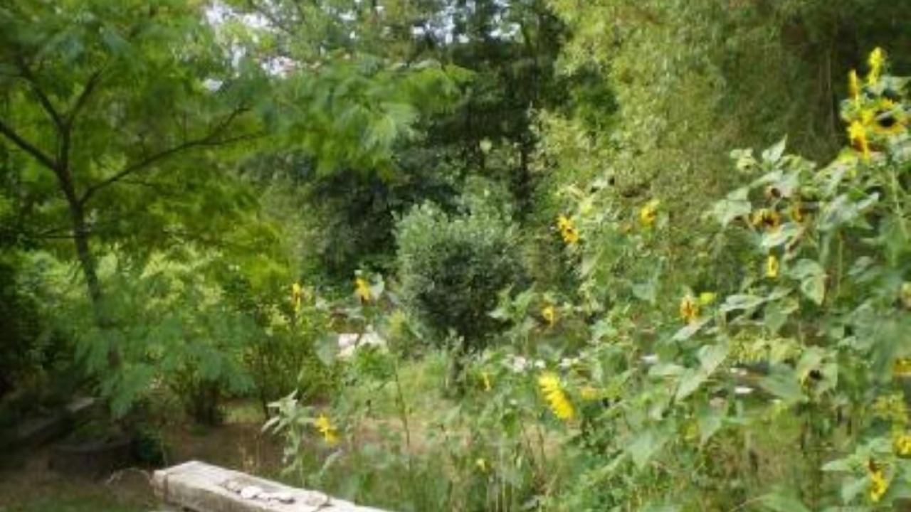 Photo of Outdoor in Souspierre