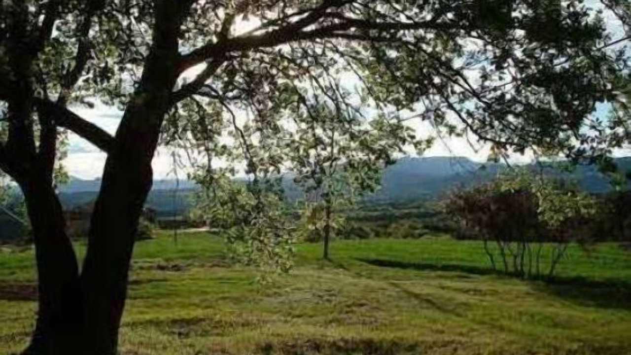 Photo of Outdoor in Lladurs