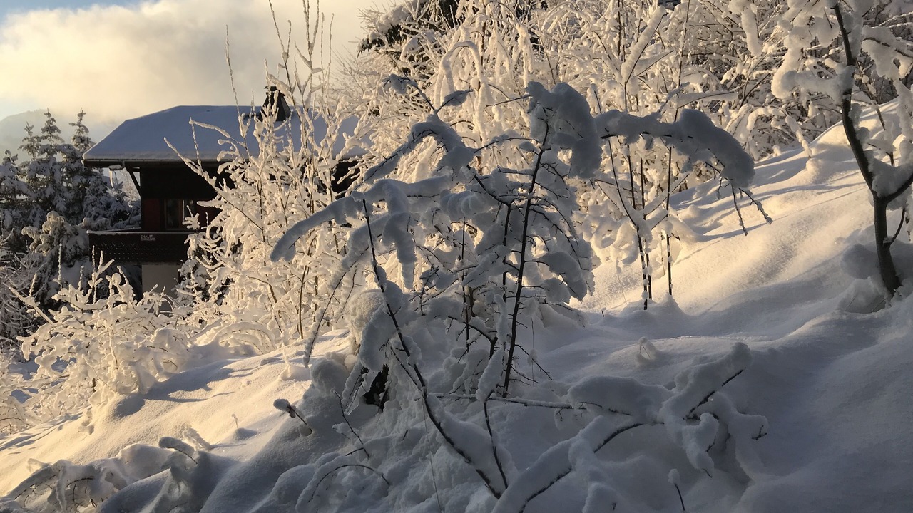 Photo of Outdoor in Station de Drouzin le Mont