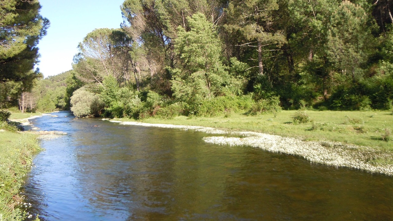 Photo of Outdoor in Piedralaves