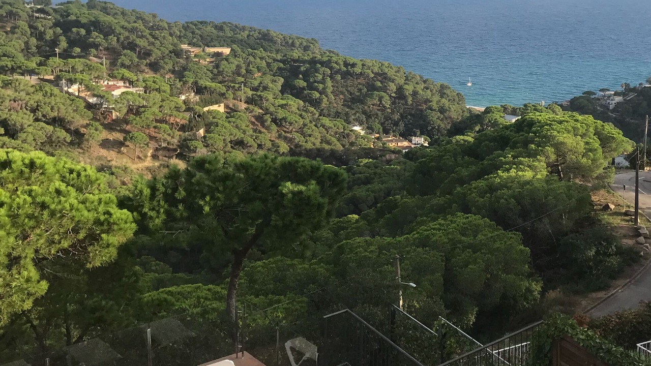 Photo of Outdoor in Lloret de Mar