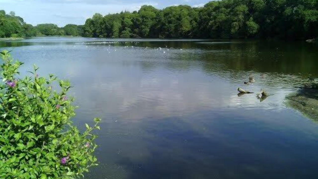 Photo of Outdoor in Morieux