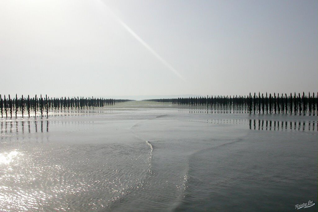 Photo of Others in Morieux