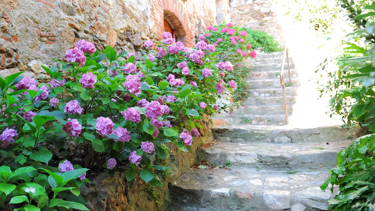Photo of Outdoor in Castelnou