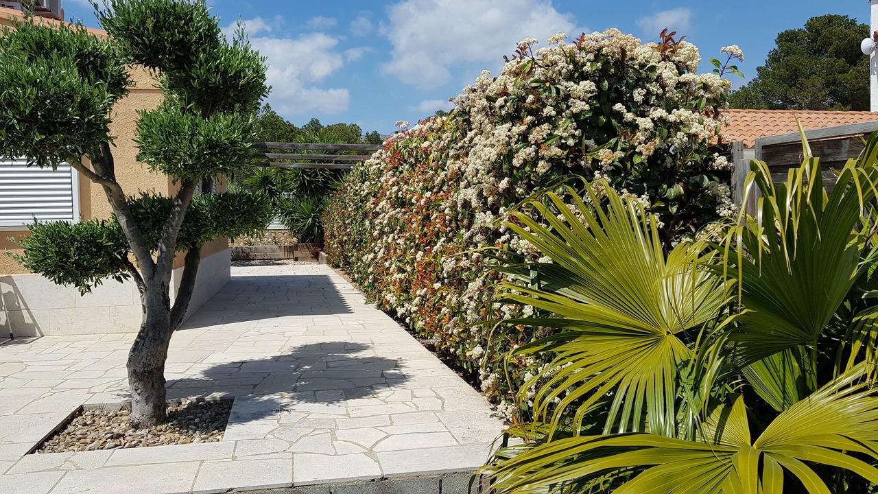 Photo of Outdoor in Calafat