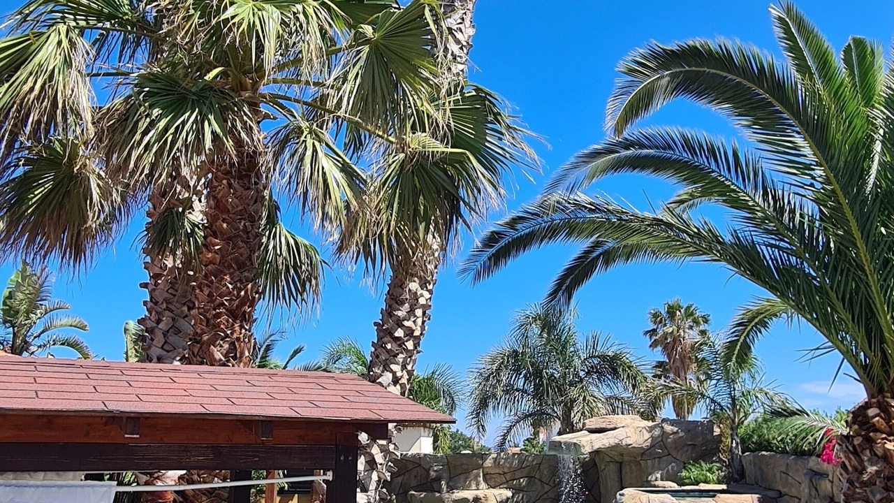 Photo of Outdoor in Calafat