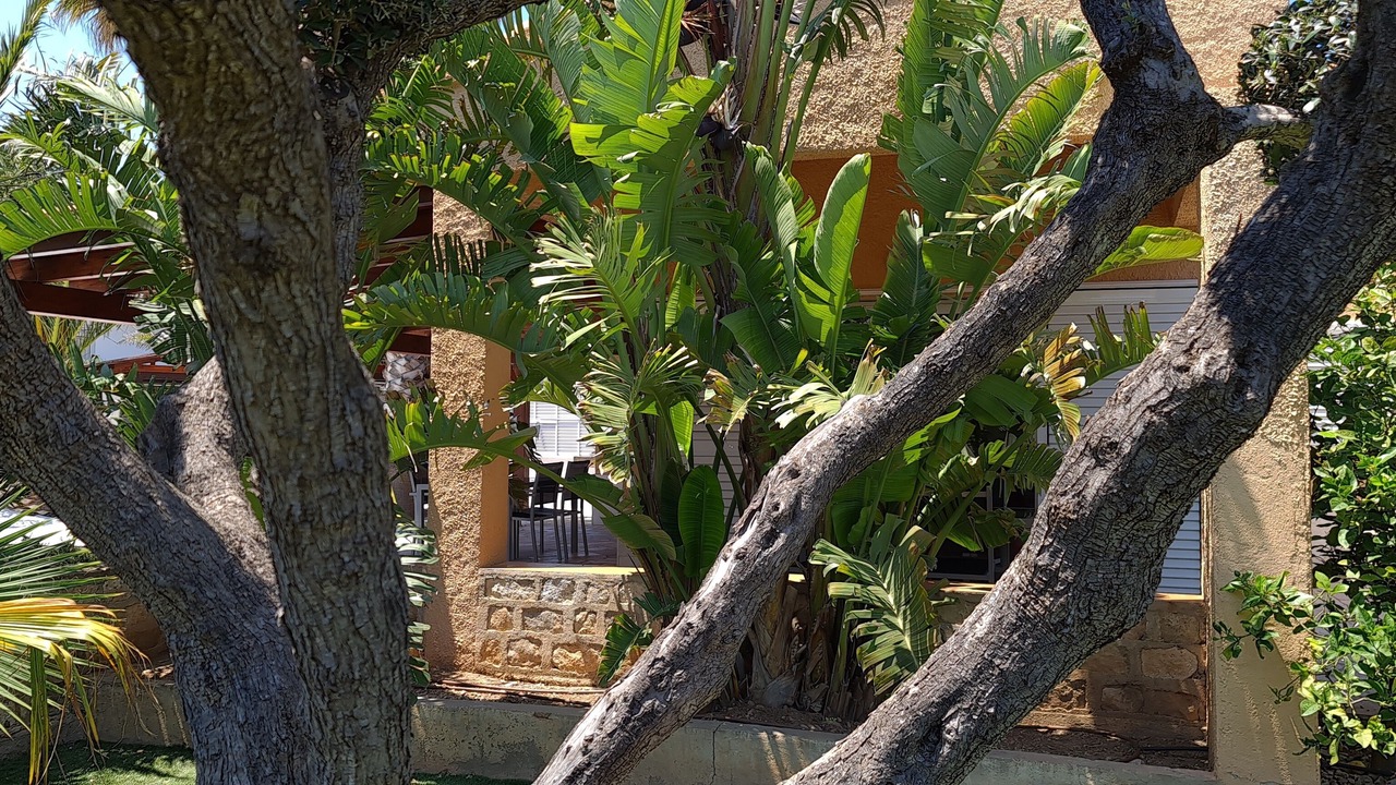 Photo of Outdoor in Calafat