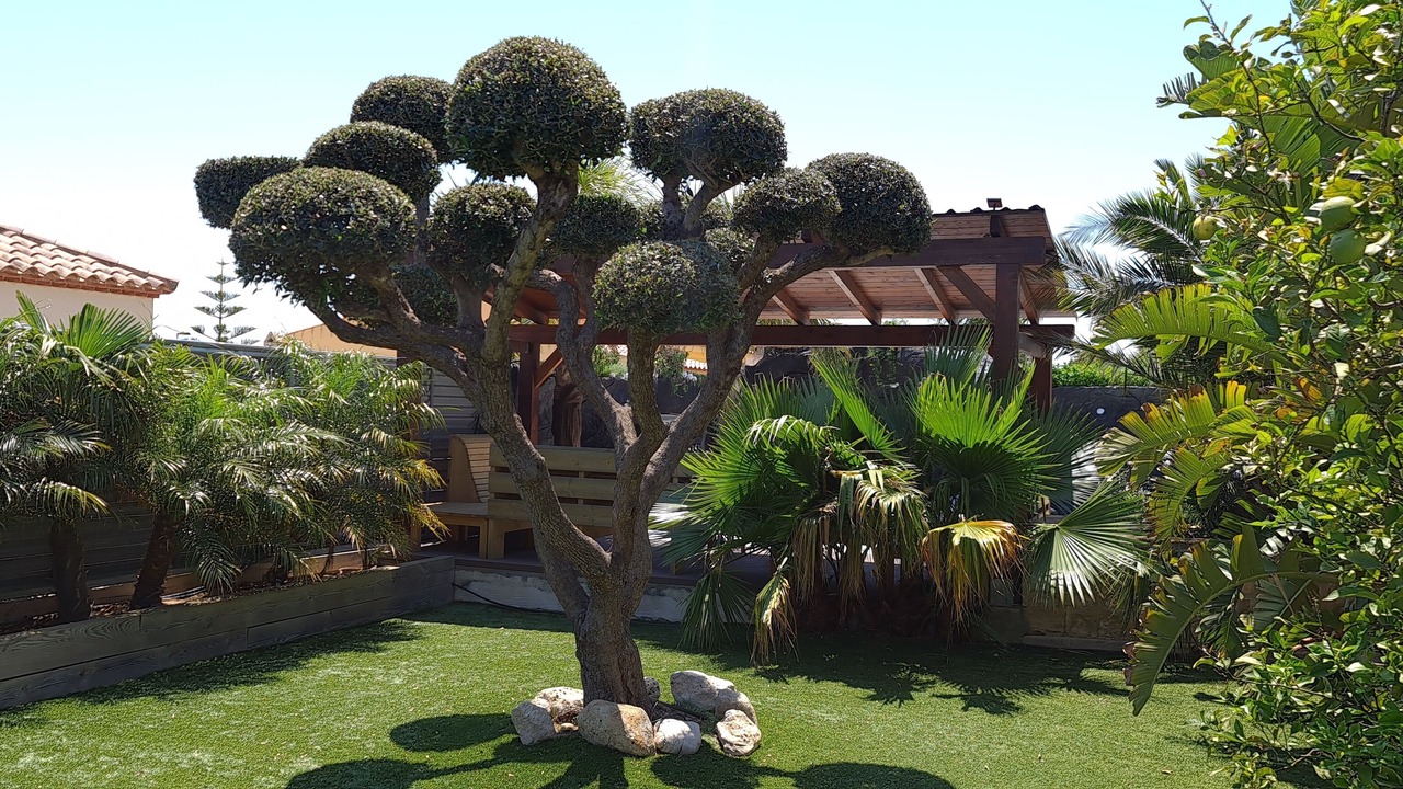 Photo of Outdoor in Calafat