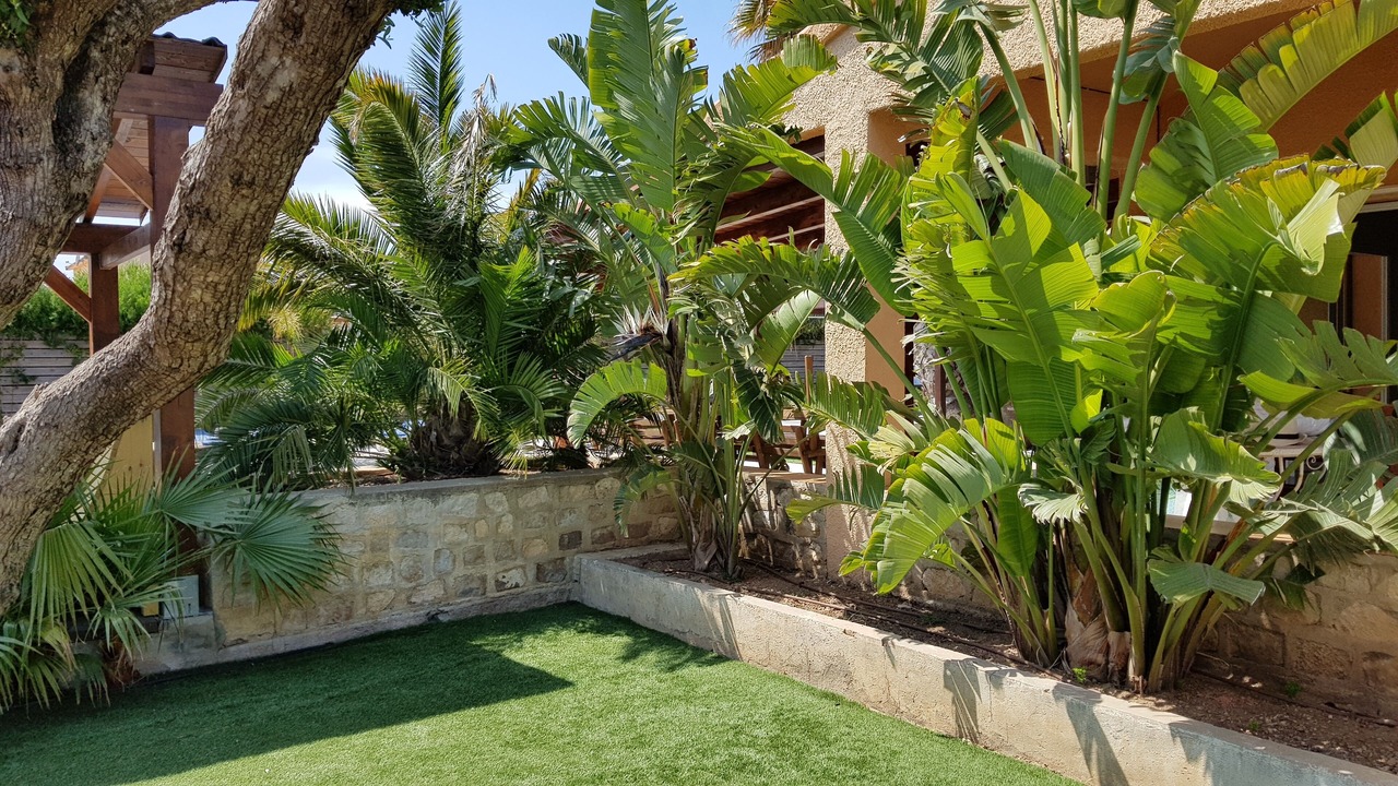Photo of Outdoor in Calafat