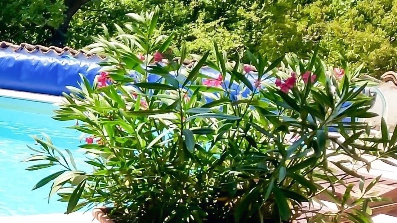 Photo of Outdoor in Zbandaj