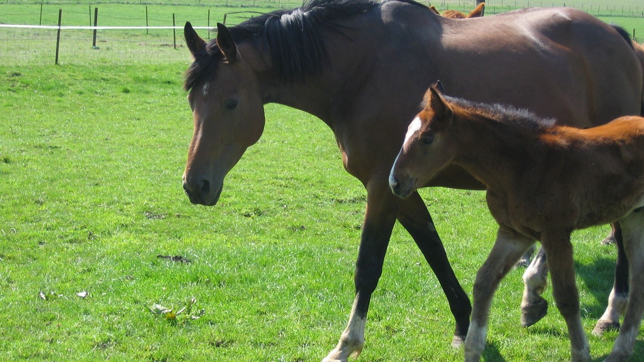 Photo of Outdoor in Monthureux-sur-Saone