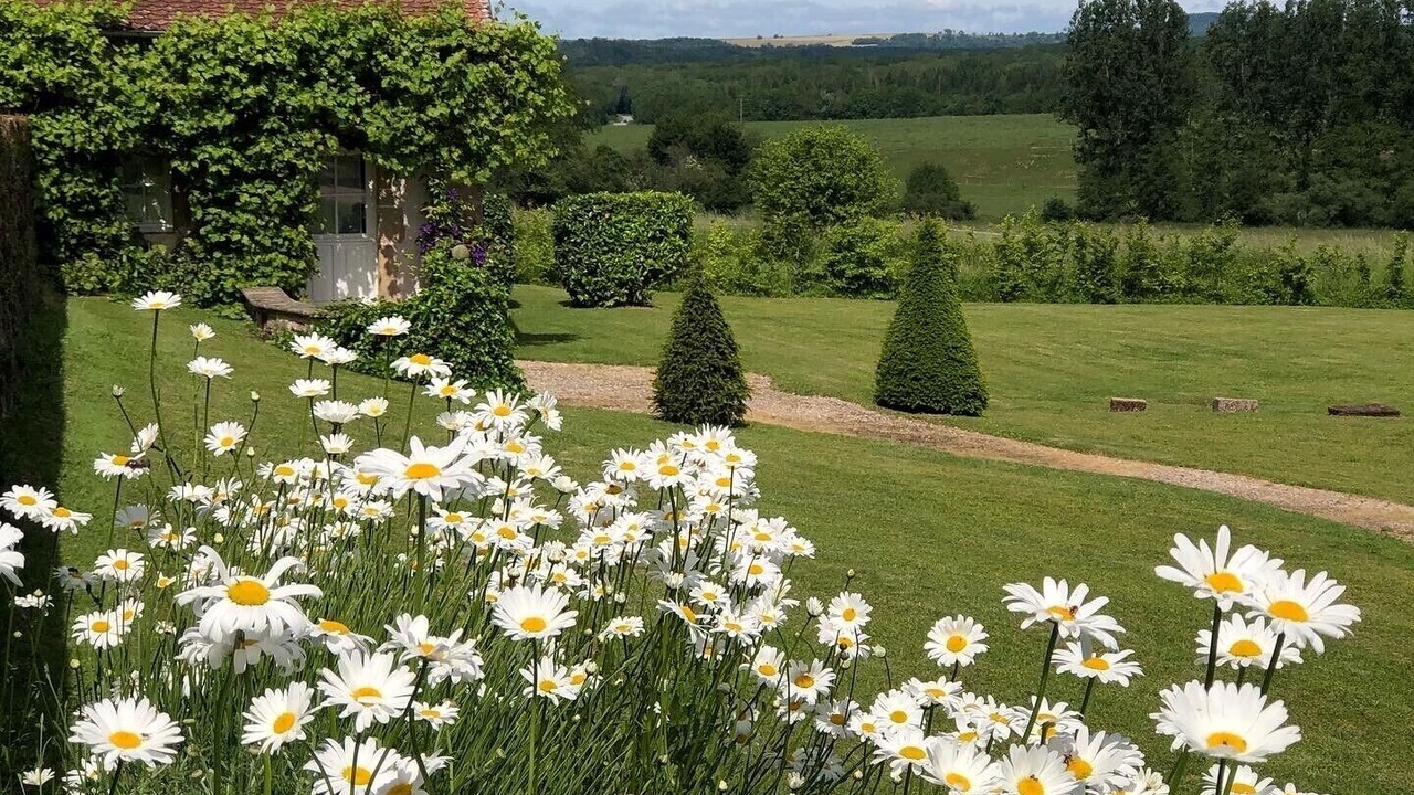 Photo of Outdoor in Monthureux-sur-Saone