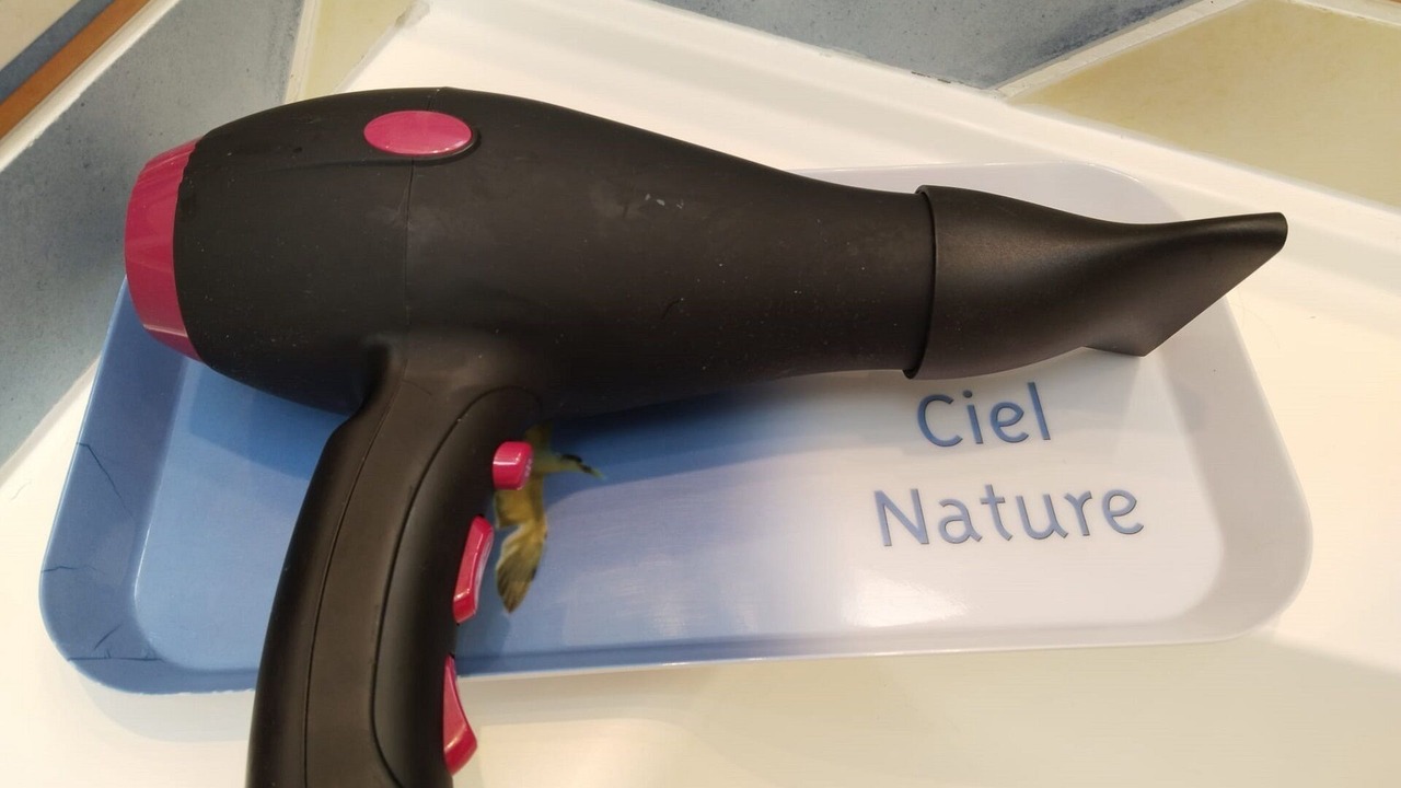 Photo of Others in Le Bois-Plage-en-Re