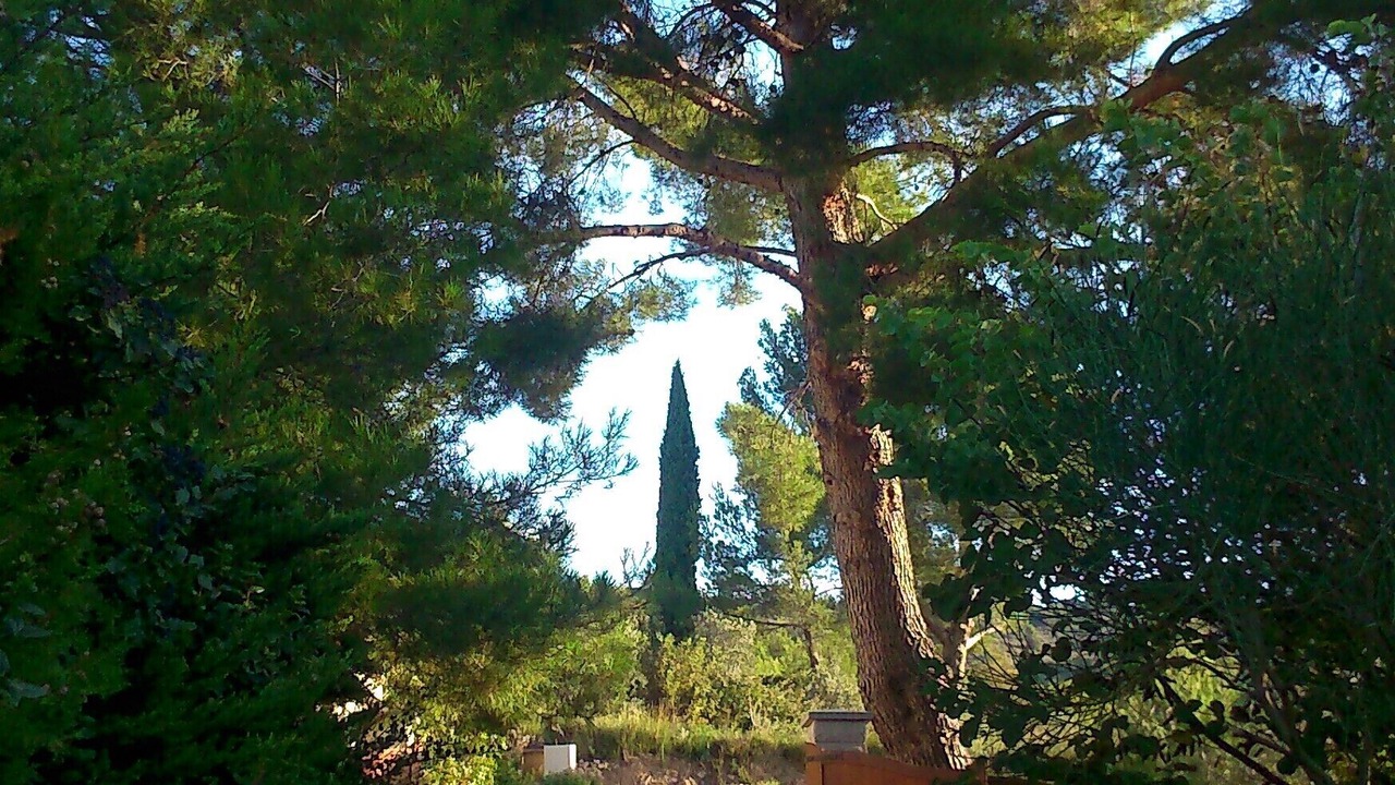 Photo of Outdoor in Merindol