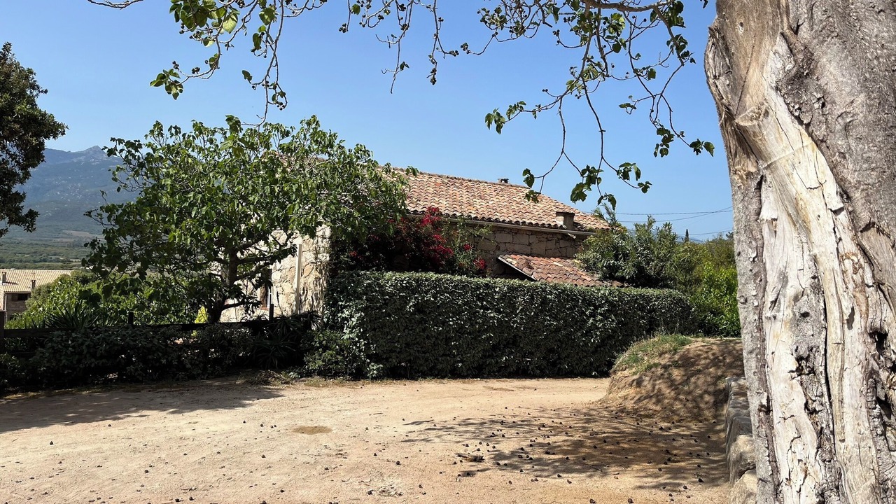 Photo of Outdoor in Figari