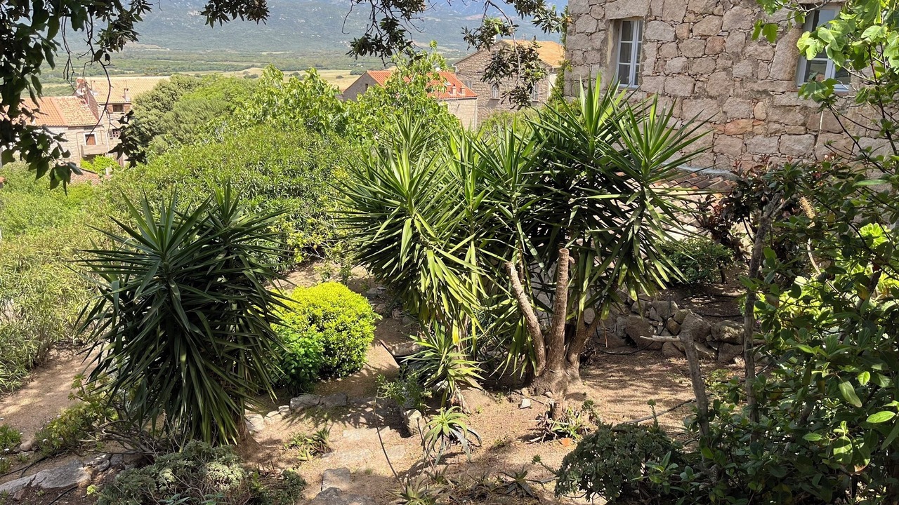 Photo of Outdoor in Figari