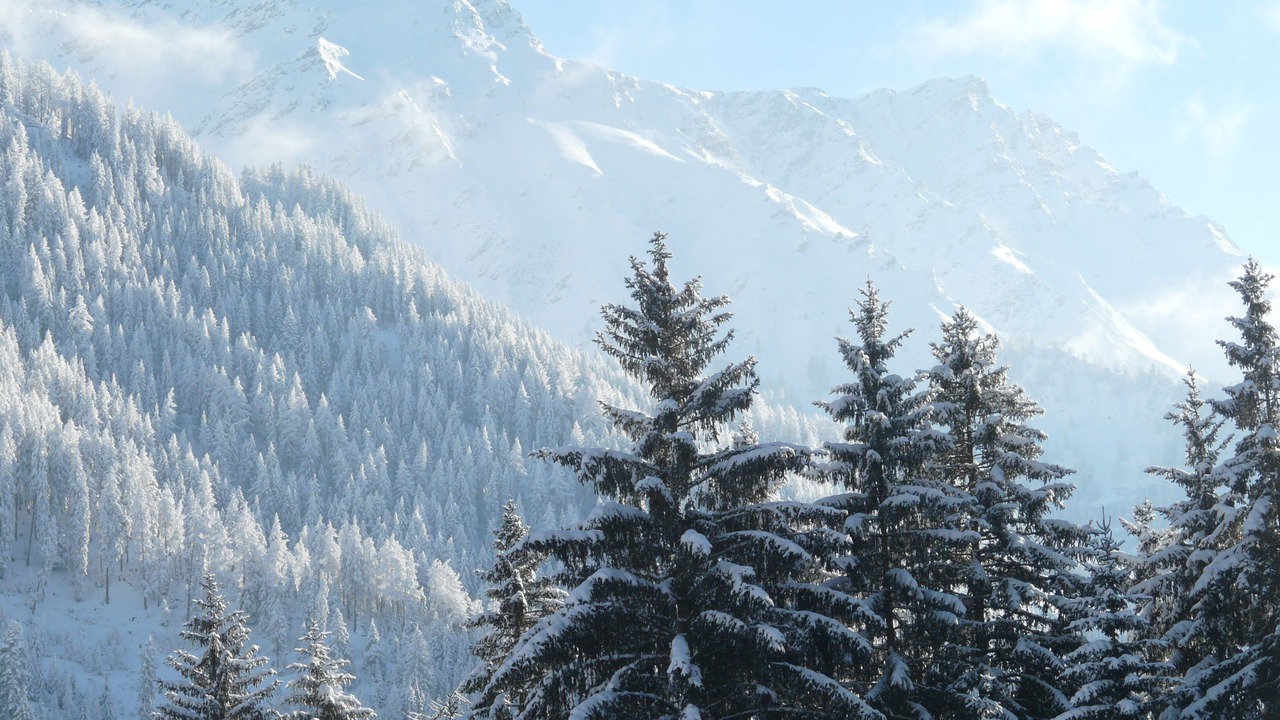 Photo of Others in Saleinaz