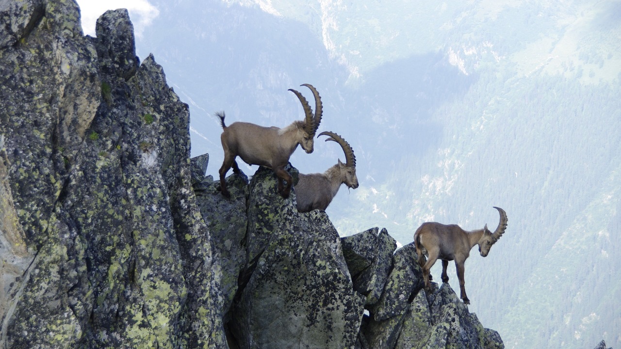Photo of Outdoor in Saleinaz