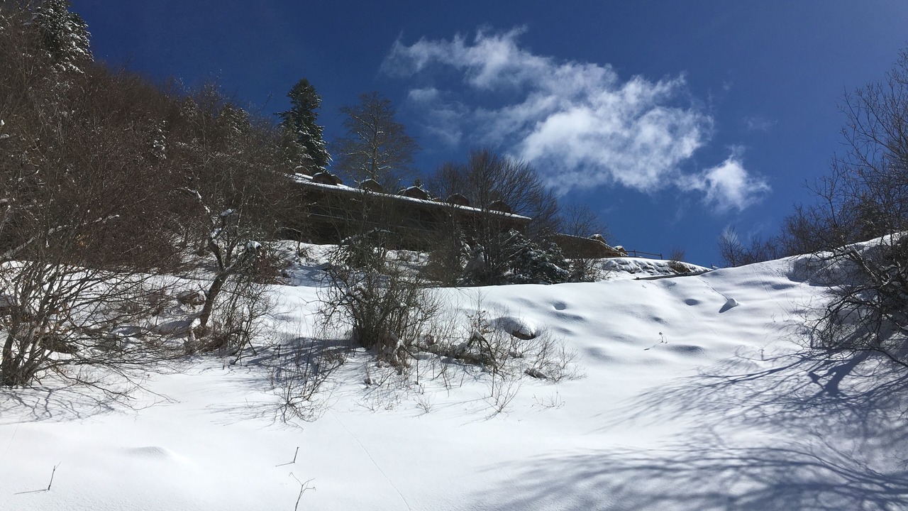 Photo of Others in Guzet Neige