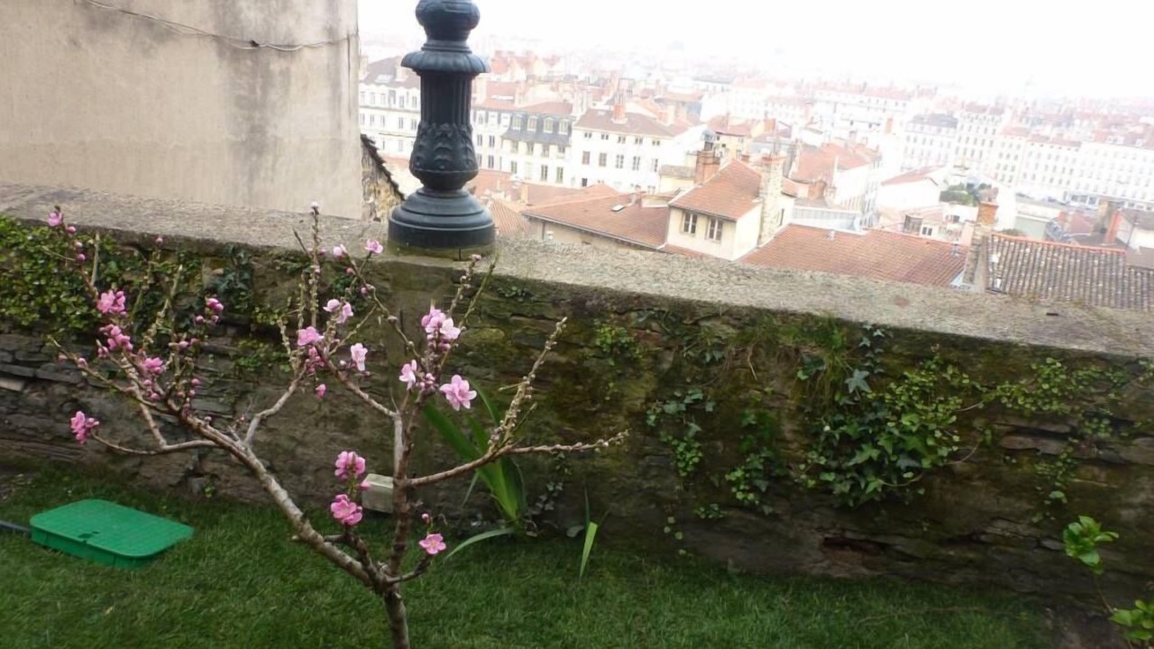 Photo of Outdoor in Old Lyon