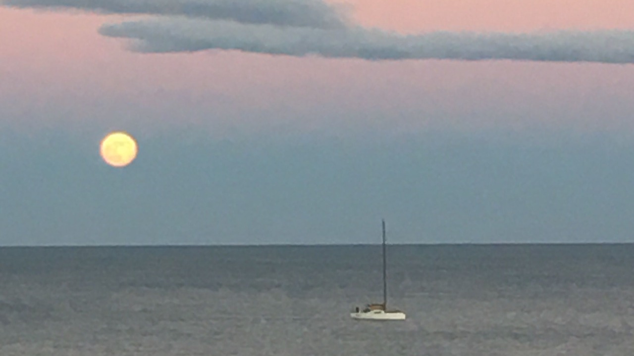 Photo of Others in Palavas-les-Flots