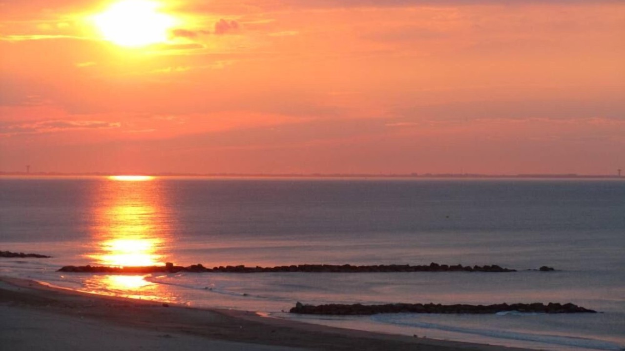 Photo of Others in Palavas-les-Flots