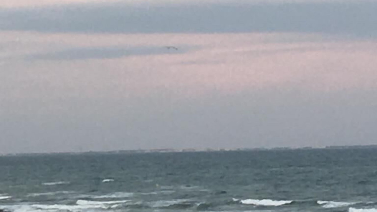 Photo of Others in Palavas-les-Flots