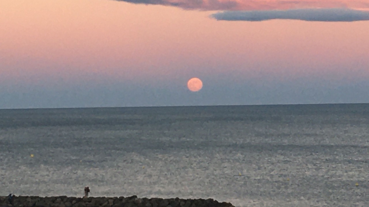 Photo of Others in Palavas-les-Flots