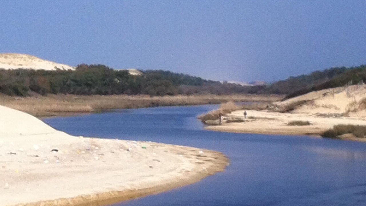 Photo of Others in Moliets-et-Maa