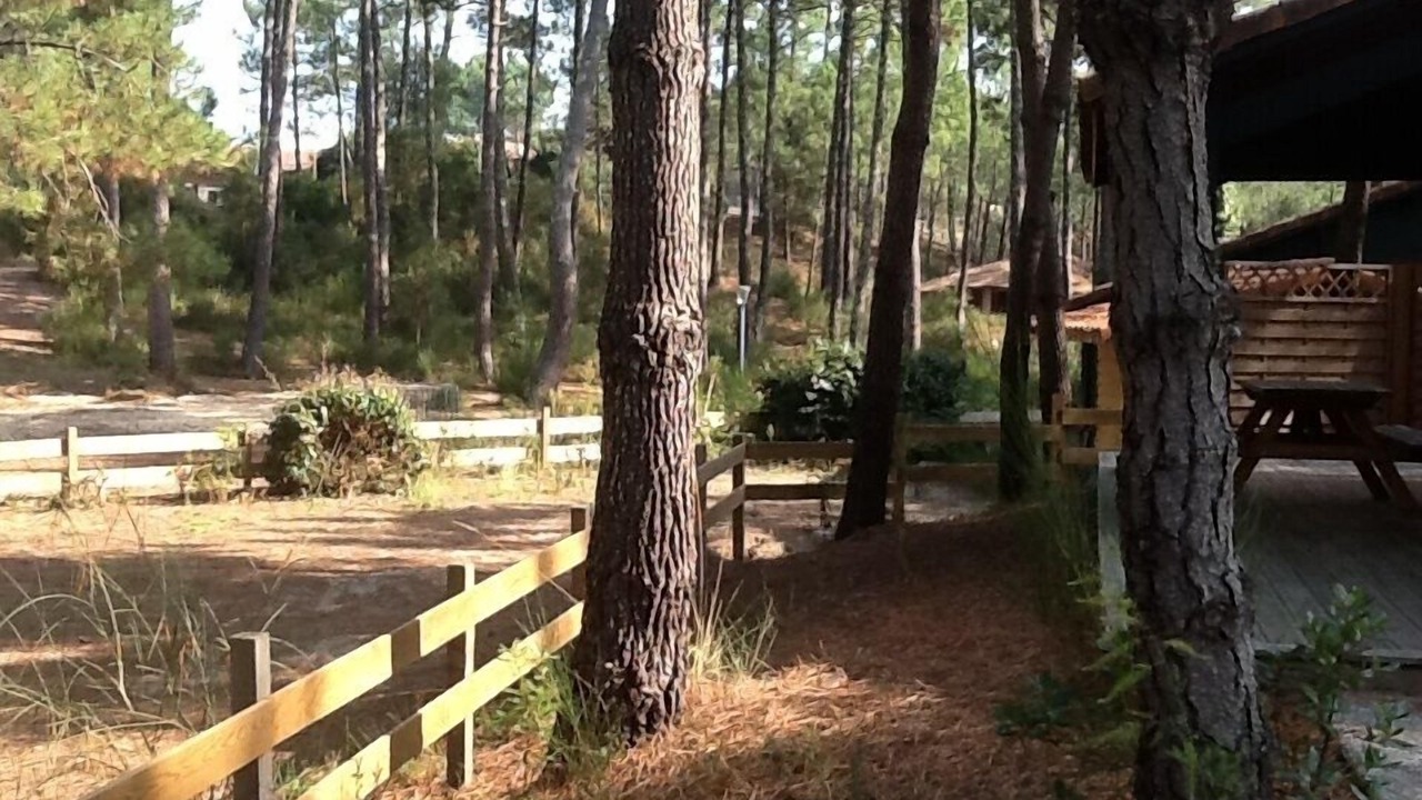 Photo of Outdoor in Moliets-et-Maa