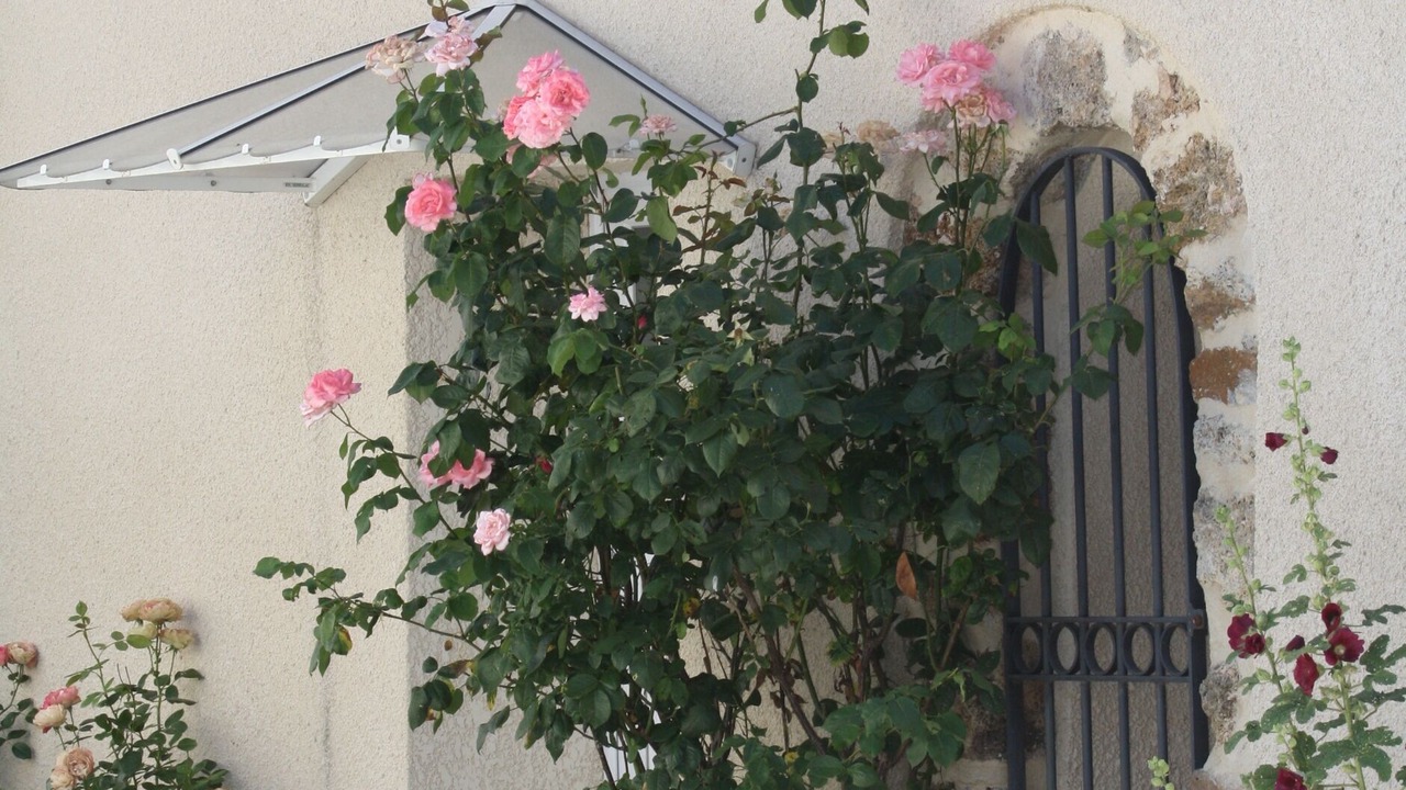 Photo of Outdoor in Trelou Sur Marne