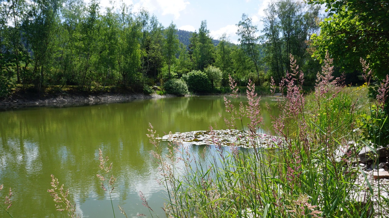 Photo of Others in Vagney