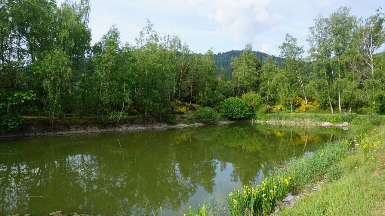 Photo of Outdoor in Vagney