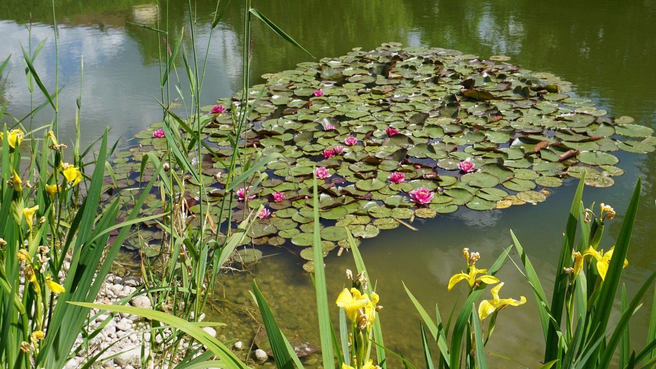 Photo of Outdoor in Vagney